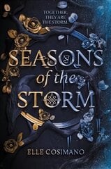 Seasons of the Storm цена и информация | Книги для подростков и молодежи | kaup24.ee