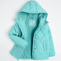 Cool Club куртка для девочек, COG2521868 цена и информация | Зимняя одежда для детей | kaup24.ee