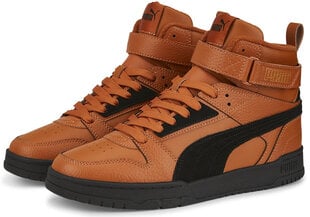 Мужские кроссовки Puma Rbd Game Wtr 387604 03/10, коричневые цена и информация | Кроссовки для мужчин | kaup24.ee