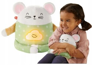 Интерактивная, успокаивающая игрушка «Мышонок», Fisher-Price цена и информация | Игрушки для малышей | kaup24.ee