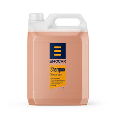 Ewocar Neutral Foam Shampoo- Autopesu šampoon hind ja info | Autokeemia | kaup24.ee