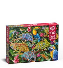 Пазл CherryPazzi Amazing Chameleons 2000 д. цена и информация | Пазлы | kaup24.ee
