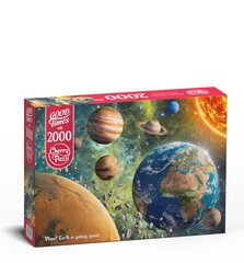 Пазл CherryPazzi Planet Earth in Galaxy 2000 д. цена и информация | Пазлы | kaup24.ee