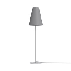 Настольная лампа Nowodvorski TRIFLE 7760 цена и информация | Настольная лампа | kaup24.ee