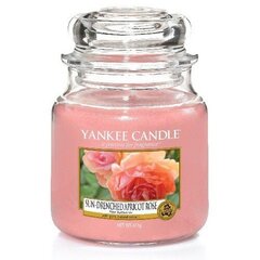 Yankee Candle Sun-Drenched Apricot Rose Candle - Scented candle 104.0g цена и информация | Подсвечники, свечи | kaup24.ee