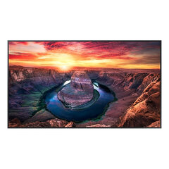 Монитор Videowall Samsung QM55B 55-дюймовый цена и информация | Мониторы | kaup24.ee