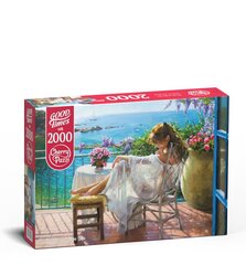 CherryPazzi головоломка Beauty and Blue Sea 2000 дет. цена и информация | Пазлы | kaup24.ee