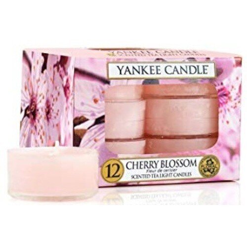 Yankee Candle Cherry Blossom Candle - Aromatic tea candles (12 pcs) 9.8g hind ja info | Küünlad, küünlajalad | kaup24.ee