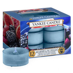 Свеча Yankee Candle Mulberry & Fig Delight (ароматические чайные свечи), 12 шт, 9.8 гр цена и информация | Подсвечники, свечи | kaup24.ee