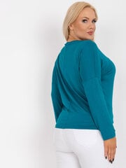 Naiste sinakaspruun pluss suuruses pluus hind ja info | Naiste pluusid, särgid | kaup24.ee