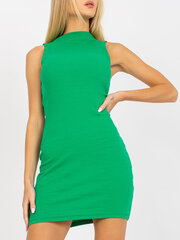 Liibuv naiste roheline kleit hind ja info | Kleidid | kaup24.ee