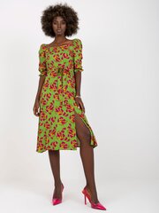 Naiste erkroheline trükiga kleit hind ja info | Kleidid | kaup24.ee