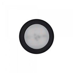 Потолочный светильник Nowodvorski FLEA 8203 цена и информация | Потолочные светильники | kaup24.ee