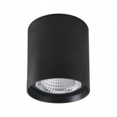 Потолочная лампа OWG-705R/BF-WW цена и информация | Потолочные светильники | kaup24.ee