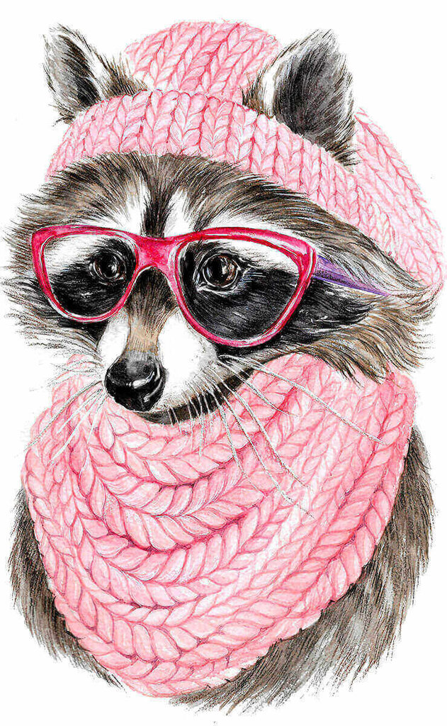 Teemantmosaiigi komplekt 20x30 cm. "Raccoon with glasses" hind ja info | Teemantmaalid, teemanttikandid | kaup24.ee