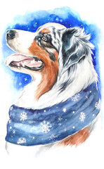 Алмазная мозаика 20x30 cm.  "Winter dog" цена и информация | Алмазная мозаика | kaup24.ee