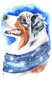 Teemantmosaiigi komplekt 20x30 cm. "Winter dog" hind ja info | Teemantmaalid, teemanttikandid | kaup24.ee