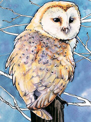 Алмазная мозаика 30x40 cm.  "Barn Owl" цена и информация | Алмазная мозаика | kaup24.ee