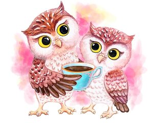 Teemantmosaiigi komplekt 30x40 cm. "Cute Owls" цена и информация | Алмазная мозаика | kaup24.ee