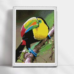 Алмазная мозаика 30x40 cm.  "Rainbow toucan" цена и информация | Алмазная мозаика | kaup24.ee