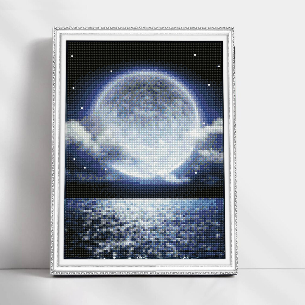 Teemantmosaiigi komplekt 30x40 cm. "Charming full moon" цена и информация | Teemantmaalid, teemanttikandid | kaup24.ee