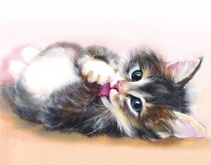 Teemantmosaiigi komplekt 40x50 cm. "Little Kitten" цена и информация | Алмазная мозаика | kaup24.ee