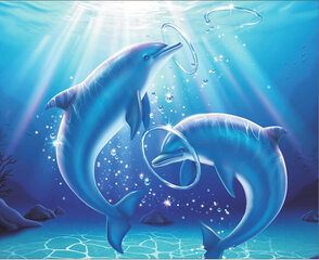 Teemantmosaiik raamiga TM Varvikas - Playing Dolphins LG223e 40x50 cm цена и информация | Алмазная мозаика | kaup24.ee