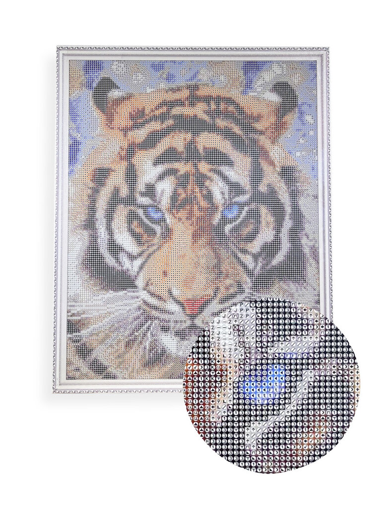 Teemantmosaiigi komplekt 40 x 50 cm, "The Look of Tiger" цена и информация | Teemantmaalid, teemanttikandid | kaup24.ee