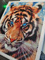 Teemantmosaiigi komplekt 40 x 50 cm, "The Look of Tiger" цена и информация | Teemantmaalid, teemanttikandid | kaup24.ee
