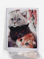 Алмазная мозаика 40x50 cm.  "Three Kittens" цена и информация | Алмазная мозаика | kaup24.ee