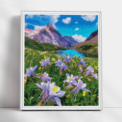 Алмазная мозаика 40x50 cm.  "Blooming Meadow" цена и информация | Алмазная мозаика | kaup24.ee