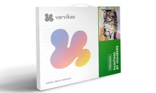 Maalimine numbrite järgi TM Värvikas, Kitten ME1066e, 30x40 cm цена и информация | Живопись по номерам | kaup24.ee