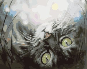 Maalimine numbrite järgi - maalimise komplekt 30 x 40 cm, "Dreaming Kitten" hind ja info | Maalid numbri järgi | kaup24.ee