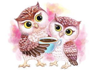 Maalimine numbrite järgi - maalimise komplekt 30 x 40 cm, "Cute Owls" hind ja info | Maalid numbri järgi | kaup24.ee