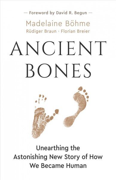 Ancient Bones: Unearthing the Astonishing New Story of How We Became Human цена и информация | Ühiskonnateemalised raamatud | kaup24.ee