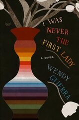 I Was Never the First Lady: A Novel цена и информация | Фантастика, фэнтези | kaup24.ee