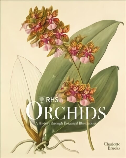 RHS Orchids hind ja info | Aiandusraamatud | kaup24.ee