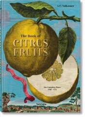 J. C. Volkamer. Citrus Fruits Multilingual edition цена и информация | Книги об искусстве | kaup24.ee