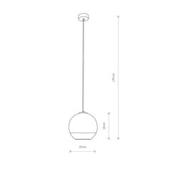 Подвесной светильник Nowodvorski GLOBE PLUS S 7605 цена и информация | Потолочный светильник, 38 x 38 x 24 см | kaup24.ee