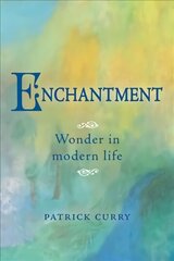 Enchantment: Wonder in Modern Life hind ja info | Ajalooraamatud | kaup24.ee