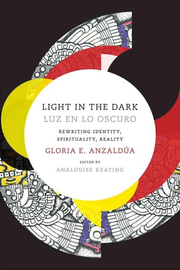 Light in the Dark/Luz en lo Oscuro: Rewriting Identity, Spirituality, Reality hind ja info | Ajalooraamatud | kaup24.ee