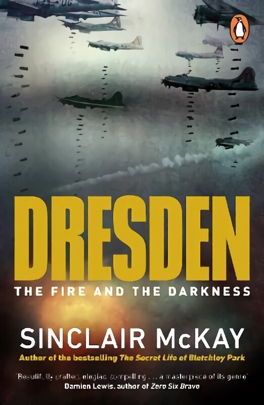 Dresden: The Fire and the Darkness цена и информация | Ajalooraamatud | kaup24.ee