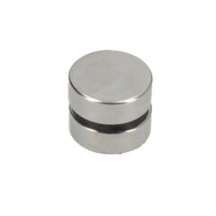 Magnet Ferrestock 28 x 10 mm (2 pcs) цена и информация | Дверные петли и другие принадлежности | kaup24.ee