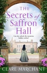 Secrets of Saffron Hall hind ja info | Fantaasia, müstika | kaup24.ee