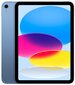 iPad 10.9" Wi-Fi + Cellular 256GB - Blue 10th Gen - MQ6U3HC/A цена и информация | Tahvelarvutid | kaup24.ee