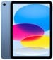 iPad 10.9" Wi-Fi 64GB - Blue 10th Gen - MPQ13HC/A цена и информация | Tahvelarvutid | kaup24.ee