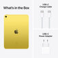 iPad 10.9" Wi-Fi + Cellular 256GB - Yellow 10th Gen - MQ6V3HC/A цена и информация | Tahvelarvutid | kaup24.ee