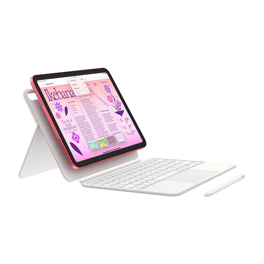 iPad 10.9" Wi-Fi 256GB - Pink 10th Gen - MPQC3HC/A цена и информация | Tahvelarvutid | kaup24.ee