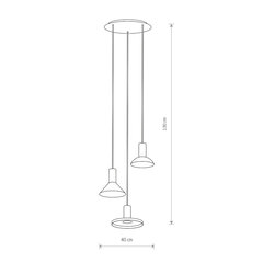 Подвесной светильник Nowodvorski Hermanos 8031 цена и информация | Потолочный светильник, 38 x 38 x 24 см | kaup24.ee