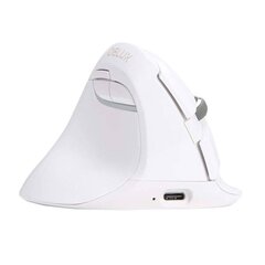 Wireless Vertical Mouse Delux M618ZD BT+2.4G for left-handed (white) цена и информация | Мыши | kaup24.ee